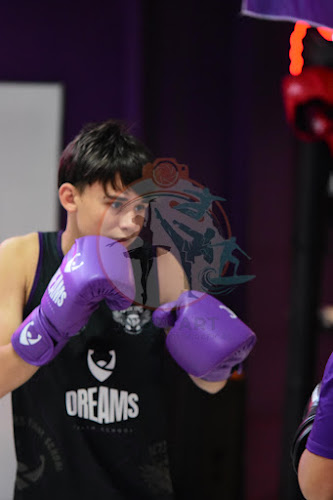 Foto do evento dreams boxe