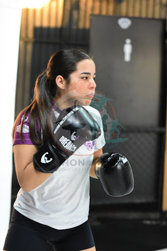 Foto do evento dreams boxe