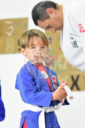 Foto do evento judo brito /colegio das flores