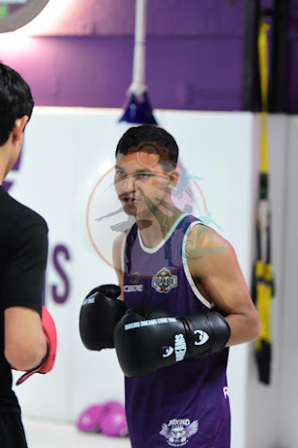Foto do evento dreams boxe/ muay thai
