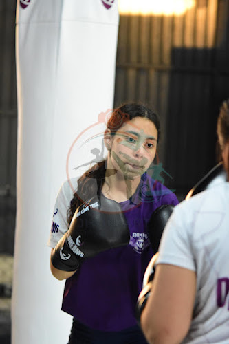 Foto do evento dreams boxe
