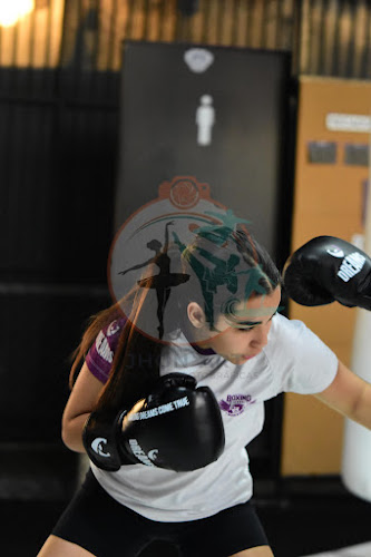 Fotos do evento dreams boxe
