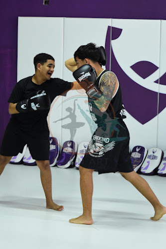 Foto do evento dreams boxe