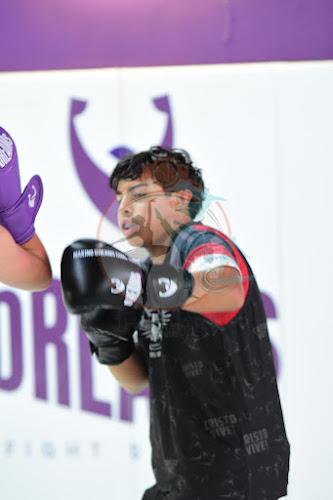 Foto do evento dreams boxe