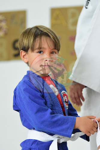 Foto do evento judo brito /colegio das flores