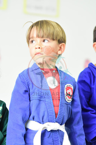 Foto do evento judo brito /colegio das flores