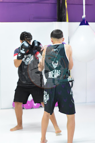 Foto do evento dreams boxe