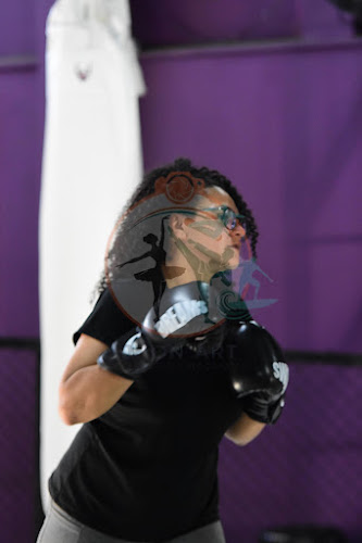 Foto do evento dreams boxe