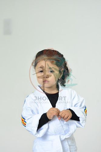 Foto do evento judo brito /colegio das flores