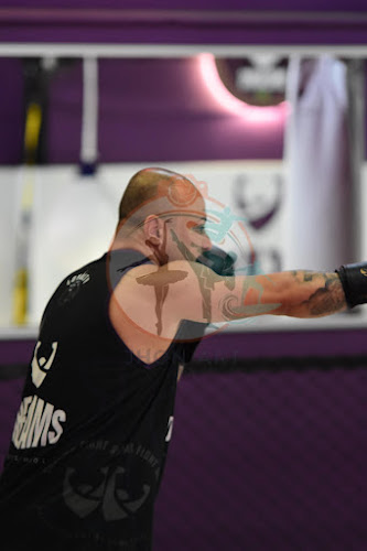 Foto do evento dreams boxe