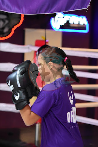 Foto do evento dreams boxe